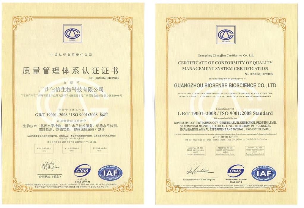 热烈祝贺我公司通过ISO9001质量管理体系认证