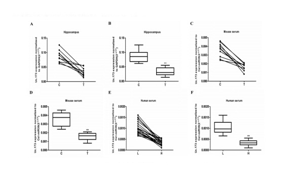 A transcribed ultraconserved noncoding RNA, Uc.173, is a key molecule for the inhibition of lead-induced neuronal apoptosis