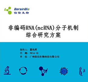 非编码RNA分子机制综合研究方案