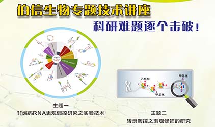 伯信生物邀您参加ncRNA表观调控技术讲座