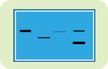 Southern Blot