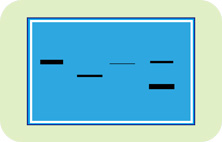 Northern Blot