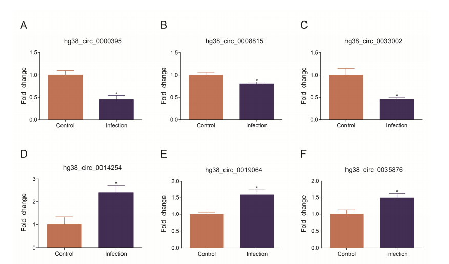 Circular RNA transcriptomics analysis of primary human brain microvascular endothelial cells infected with meningitic Escherichia coli