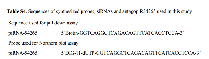 PIWI-interacting RNA-54265 is oncogenic and a potential therapeutic target in colorectal adenocarcinoma