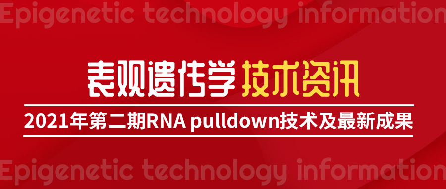 2021年表观遗传学技术资讯            --- 第二期 RNA pull down技术及最新成果（20210101-0124）
