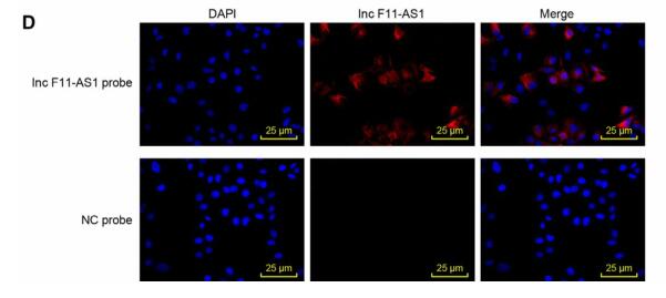 Long non-coding RNA F11-AS1 inhibits HBV-related hepatocellular carcinoma progression by regulating NR1I3 via binding to microRNA-211-5p