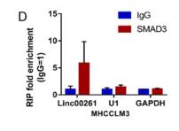Epigenetically silenced linc00261 contributes to the metastasis of hepatocellular carcinoma via inducing the deficiency of FOXA2 transcription