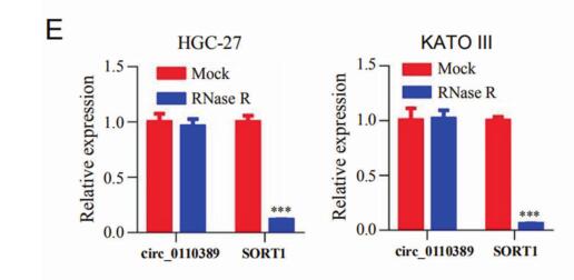 Circular RNA hsa_circ_0110389 promotes gastric cancer progression through upregulating SORT1 via sponging miR-127-5p and miR-136-5p