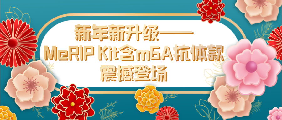 MeRIP Kit含m6A抗体款震撼登场