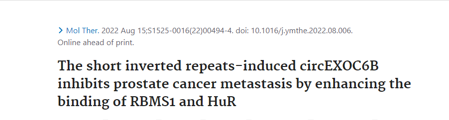 分子探针与表观遗传学研究好文分享：短反向重复序列诱导的circEXOC6B通过增强RBMS1和HuR的结合来抑制前列腺癌的转移
