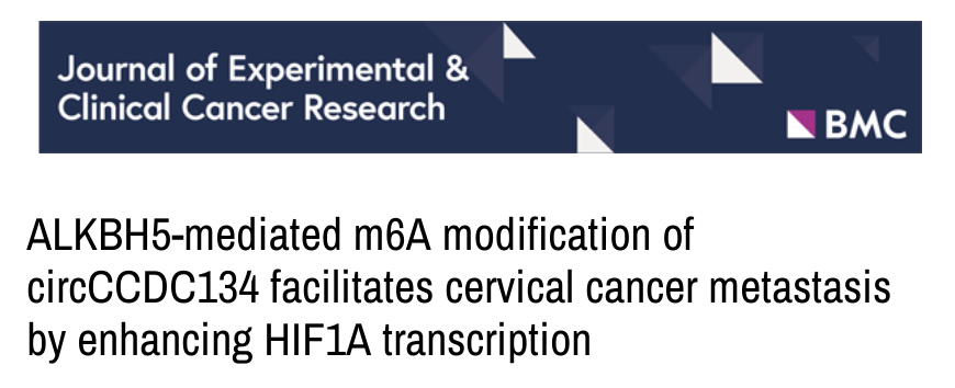 分子探针与表观遗传学研究好文分享：alkbh5介导的m6A对circCCDC134修饰通过增强HIF1A转录促进宫颈癌转移(IF=12.658)