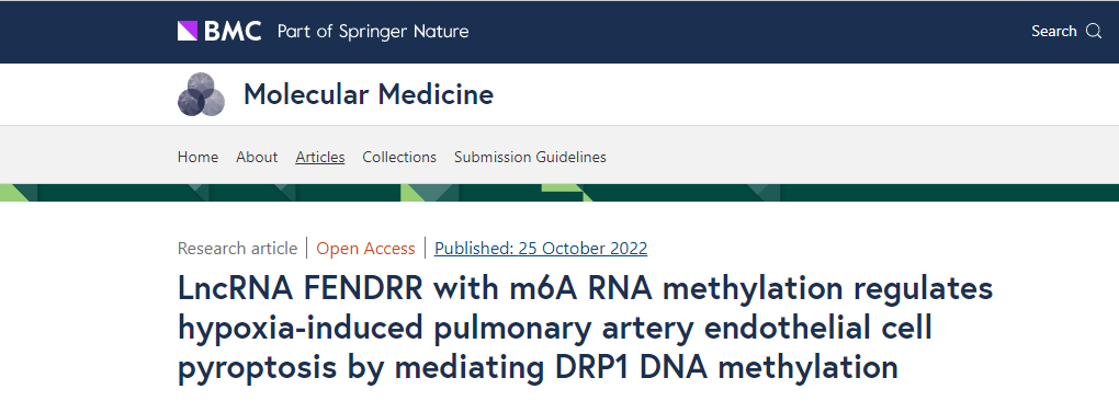 分子探针与表观遗传学研究好文分享：m6A RNA甲基化的LncRNA FENDRR通过介导DRP1 DNA甲基化调节缺氧诱导的肺动脉内皮细胞焦亡(IF=6.376)