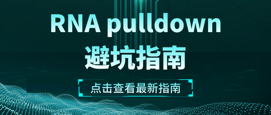 那些年在RNA pulldown上踩过的坑