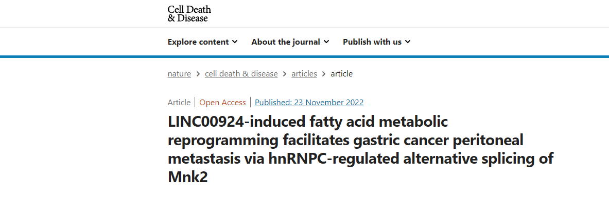 分子探针与表观遗传学研究好文分享：LINC00924诱导的脂肪酸代谢重编程通过hnRNPC调控的Mnk2选择性剪接促进胃癌腹膜转移(IF=9.685)