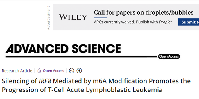 分子探针与表观遗传学研究好文分享：由m6A修饰介导的IRF8的沉默可促进T细胞急性淋巴母细胞白血病的进展(IF=17.521)