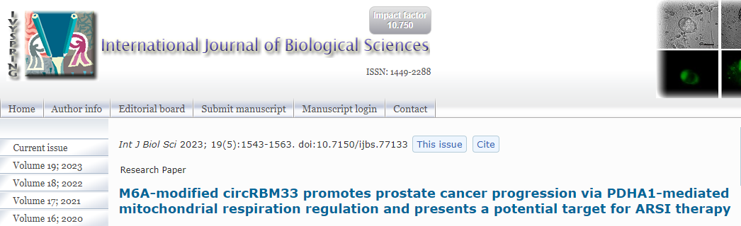 分子探针与表观遗传学研究好文分享：M6A修饰的circRBM33通过PDHA1介导的线粒体呼吸调节促进前列腺癌的进展，并为ARSI治疗提供了一个潜在的靶点 (IF=10.75)