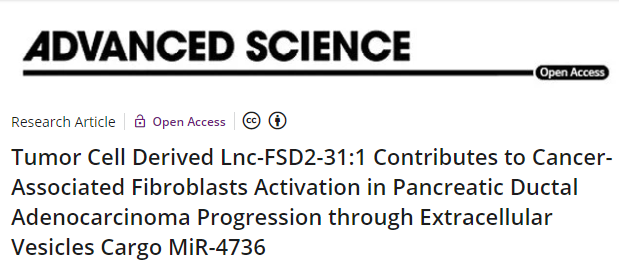 分子探针与表观遗传学研究好文分享：肿瘤细胞衍生的 Lnc-FSD2-31:1 通过细胞外囊泡货物 MiR-4736 促进胰腺导管腺癌进展中的癌症相关成纤维细胞激活 (IF=17.521)