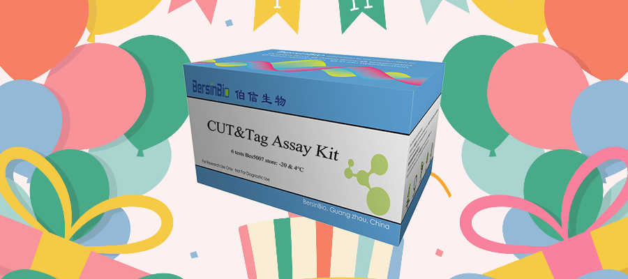 伯信好物推荐——CUT&Tag  Assay  Kit