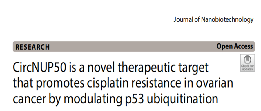 分子探针与表观遗传学研究好文分享：CircNUP50是一种新的治疗靶点，通过调节p53泛素化来促进卵巢癌中的顺铂耐药