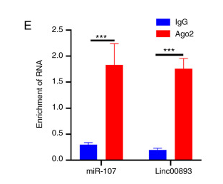 Exploring the regulatory role of Linc00893 in asthenozoospermia: Insights into sperm motility and SSC viability.