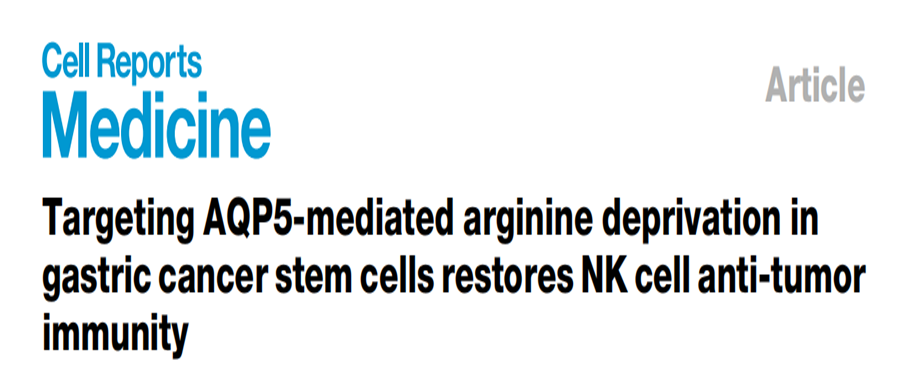 分子探针与表观遗传学研究好文分享：靶向AQP5介导的精氨酸剥夺可恢复胃癌干细胞的 NK 细胞抗肿瘤免疫