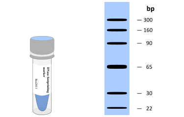 DNase footprinting Marker-Biotin