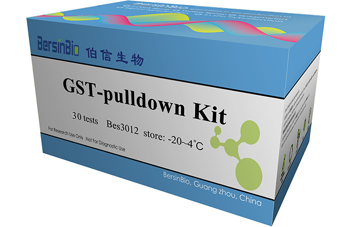 GST pulldown试剂盒