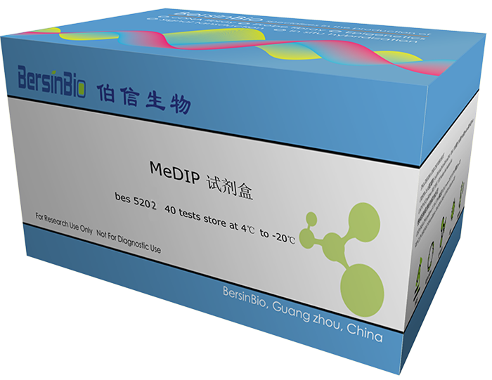 MeDIP试剂盒