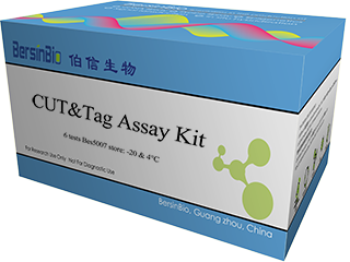 CUT&Tag Assay Kit