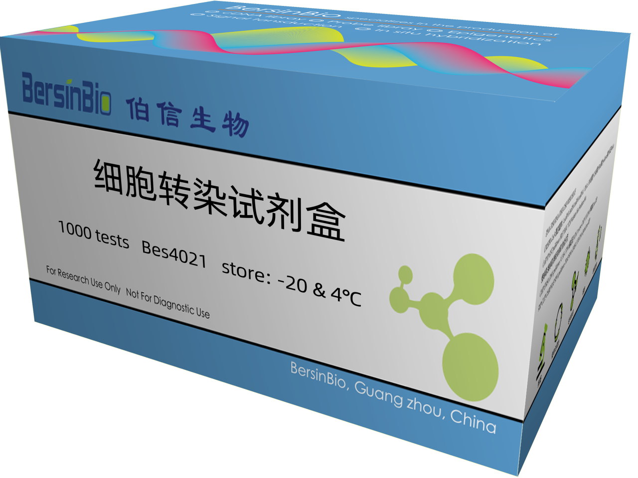 细胞转染试剂盒